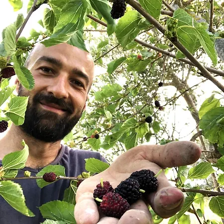 Grusone 아파트 산트아구타수이두에골피