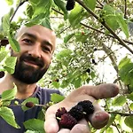 Grusone Appartamento SantʼAgata sui Due Golfi